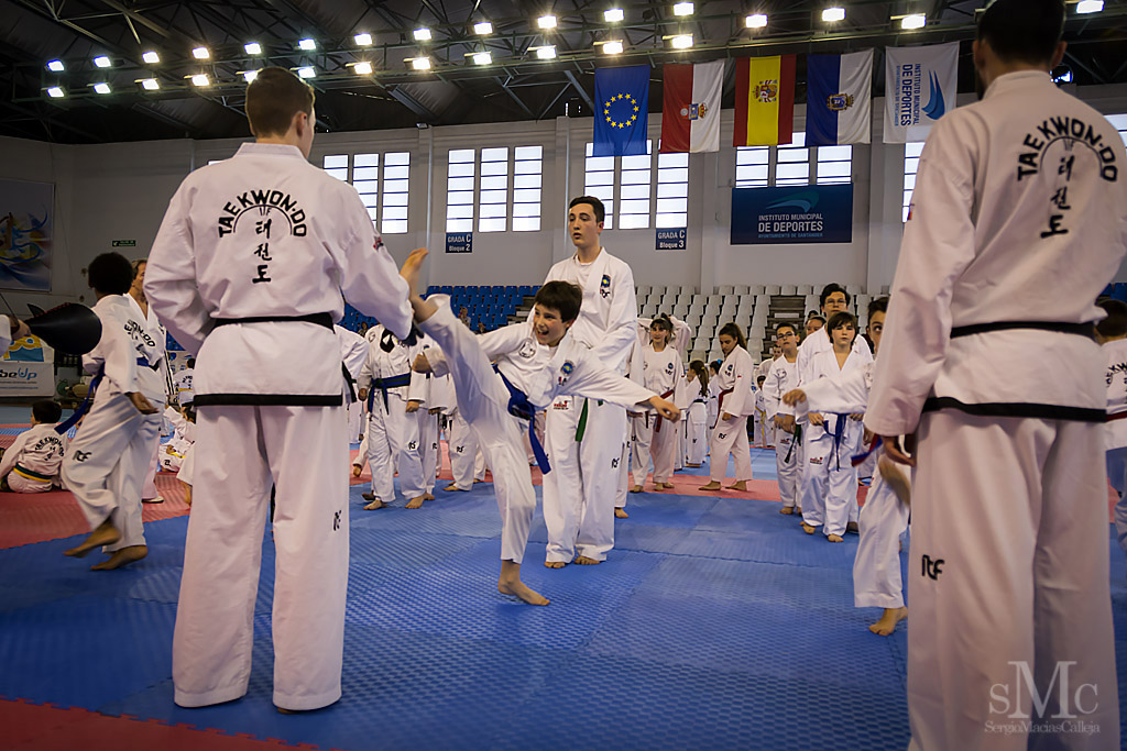 DIA DEL TAEKWONDO ABRIL 2017_3671.JPG